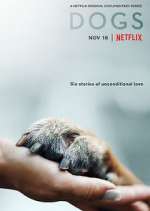 Watch Dogs Myflixer