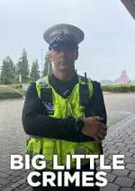 Watch Big Little Crimes Myflixer