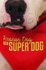 Watch Rescue Dog to Super Dog (US) Myflixer