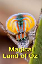 Watch Magical Land of Oz Myflixer