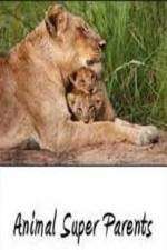 Watch Animal Super Parents Myflixer
