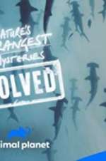 Watch Nature\'s Strangest Mysteries: Solved Myflixer