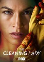 Watch The Cleaning Lady Myflixer