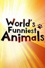 Watch The World\'s Funniest Animals Myflixer