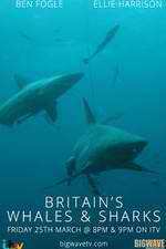 Watch Britain's Whales and Sharks Myflixer