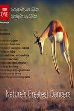 Watch Nature's Greatest Dancers Myflixer