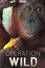 Watch Operation Wild Myflixer