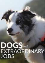 Watch Dogs with Extraordinary Jobs Myflixer