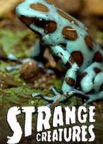 Watch Strange Creatures Myflixer
