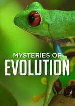Watch Mysteries of Evolution Myflixer