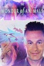 Watch The Wonder of Animals Myflixer