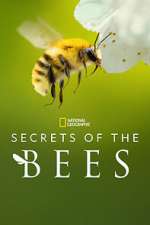 Watch Secrets of the Bees Myflixer