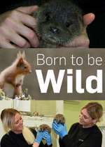 Watch Born to Be Wild Myflixer