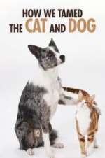 Watch How We Tamed the Cat and Dog Myflixer