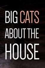 Watch Big Cats About the House Myflixer