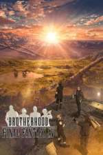 Watch BROTHERHOOD FINAL FANTASY XV Myflixer