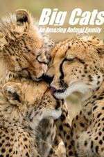 Watch Big Cats: An Amazing Animal Family Myflixer