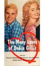 Watch The Many Loves of Dobie Gillis Myflixer