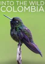 Watch Into the Wild Colombia Myflixer