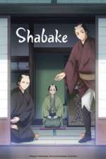 Watch Shabake Myflixer