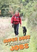 Watch Super Dogs with Extraordinary Jobs Myflixer