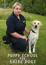 Watch Puppy School for Guide Dogs Myflixer