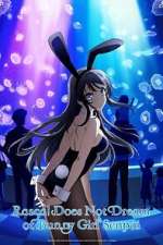 Watch Rascal Does Not Dream of Bunny Girl Senpai Myflixer