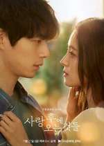 Watch What Comes After Love Myflixer