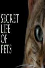 Watch The Secret Life of Pets Myflixer