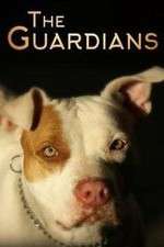 Watch The Guardians Myflixer