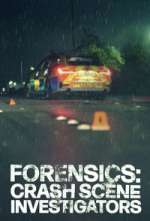 Watch Forensics: Crash Scene Investigators Myflixer