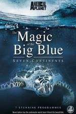 Watch The Magic of the Big Blue Myflixer