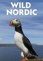 Watch Wild Nordic Myflixer