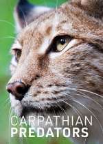 Watch Carpathian Predators Myflixer