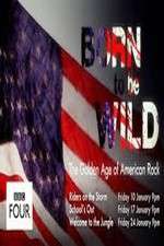 Watch Born to Be Wild: The Golden Age of American Rock Myflixer