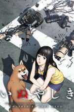 Watch Inuyashiki Myflixer