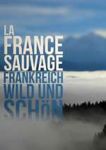 Watch Wild France Myflixer