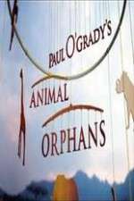 Watch Paul O'Grady's Animal Orphans Myflixer