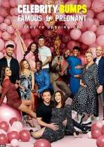 Watch Celebrity Bumps: Famous & Pregnant Myflixer