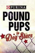 Watch Purina Pound Pups To Dog Stars Myflixer