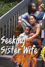 Watch Seeking Sister Wife Myflixer