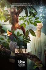 Watch Judi Dench\'s Wild Borneo Adventure Myflixer