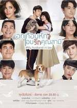 Watch My Husband in Law Myflixer