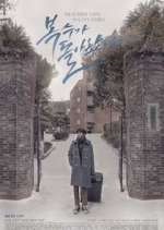 Watch My Strange Hero Myflixer