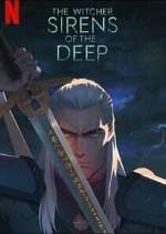 Watch The Witcher Anime Specials Myflixer