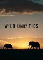 Watch Wild Family Ties Myflixer