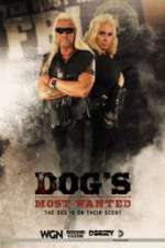 Watch Dog\'s Most Wanted Myflixer
