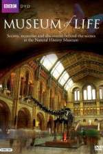 Watch BBC Museum of Life Myflixer