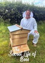 Watch The Secret Life of Bees Myflixer