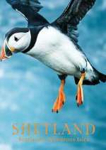 Watch Shetland: Scotland's Wondrous Isles Myflixer